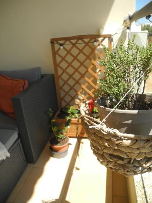 Panorama Apartment Sagres *Pool* Exterior photo